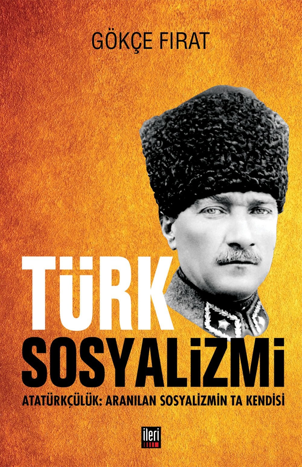 Türk Sosyalizmi